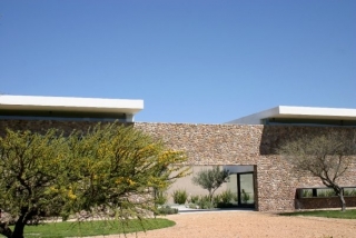 Galeria viñedos